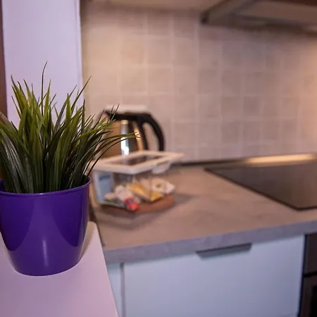 Apartament Delizioso In Casa Mima *
