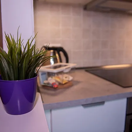 Apartman Delizioso In Casa Mima Pisa